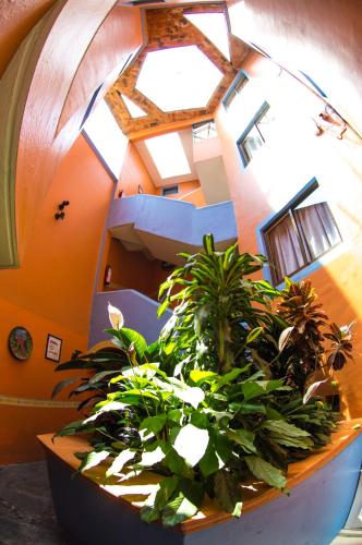 Hotel posada casa regia in Xalapa, Mexico
