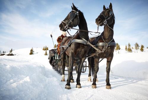 Storefjell Resort Storefjell Resort