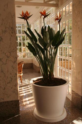 Apartamentos Maria Victoria - image 12