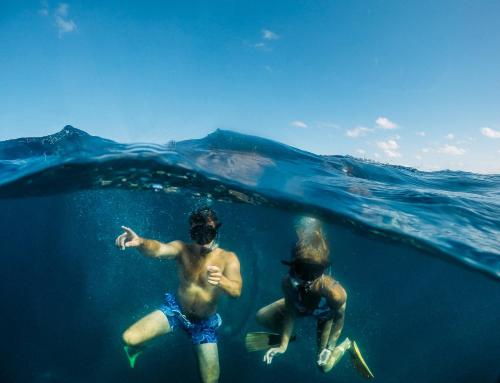 Sport i aktivnosti, Manta Lodge & Scuba Centre in otok sjeverni Stradbroke