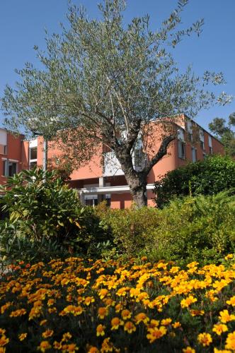 Centro Magliaso - image 10
