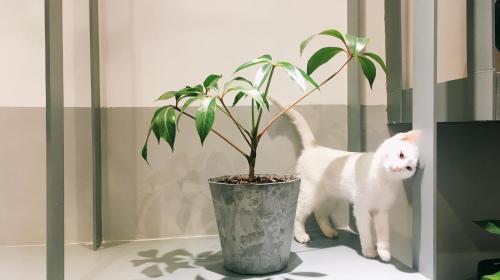 迦家HOME++西安永兴坊店 迦家HOME++西安永兴坊店