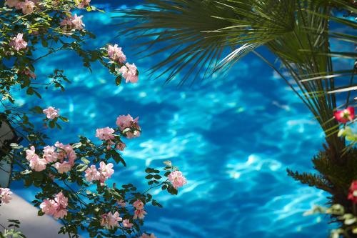 Photo 10 Aldrovandi Villa Borghese