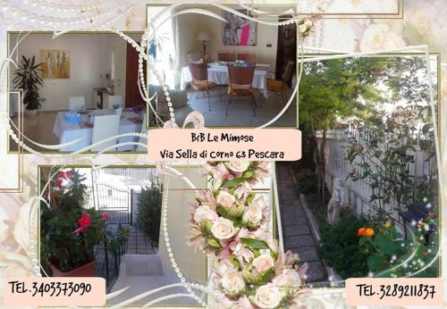 Accommodation in Pescara