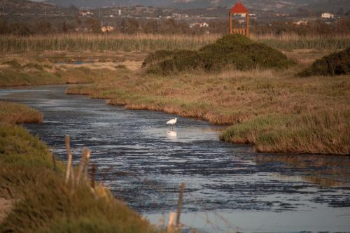 Villa Santadi Villa Santadi图片