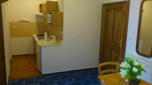 Pension-Apartmany Apollo - image 11