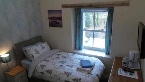 Old School B & B, Llandysul (fotografie 8)