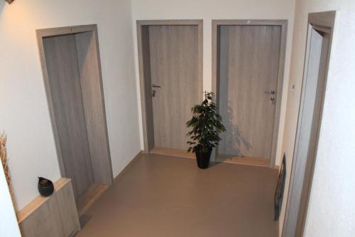 Boutique B&B Luna - image 6
