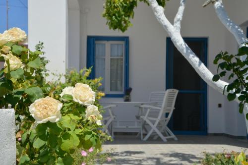  IRINI`S HOUSE in 84800 Triovasálos