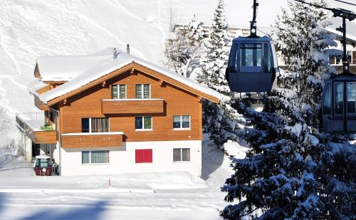 Laubrinus in Adelboden, Schweiz