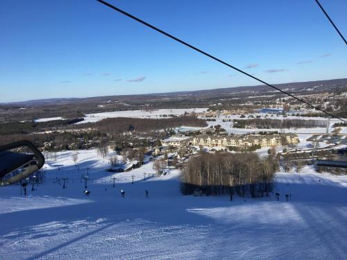 Boyne Mountain Creekside Condo