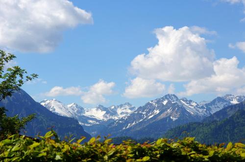 Viktoria Chalet - image 12
