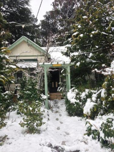 Lemon Tree Cottage
