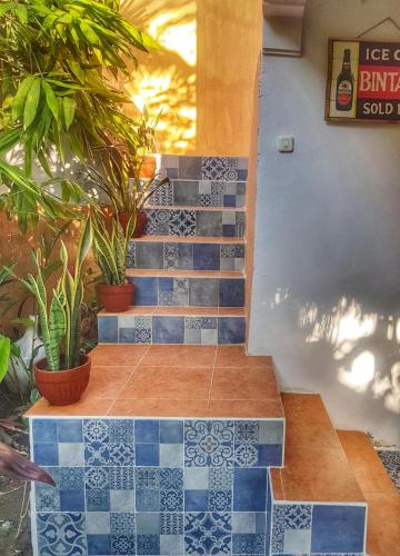 Havana Hideaway