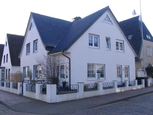 Strandflieder in Norderney, Deutschland