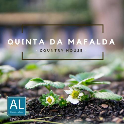 Quinta da Mafalda Mira