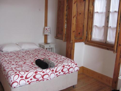 This Is Lisbon Hostel - image 9