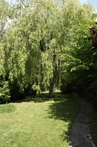 B&B Le Cottage Paris Saclay - image 12