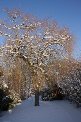 B&B Le Cottage Paris Saclay - image 12