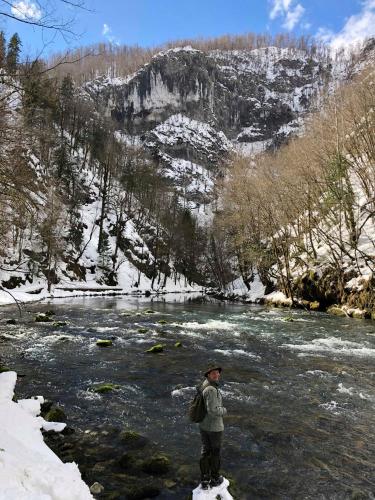  Planinska kuća Kupari - SOBE in Čabar