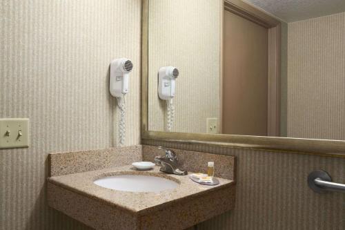 Days Inn by Wyndham Rock Falls - image 9