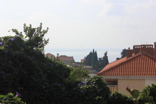 Apartments with WiFi Dubrovnik - 8582 - image 3