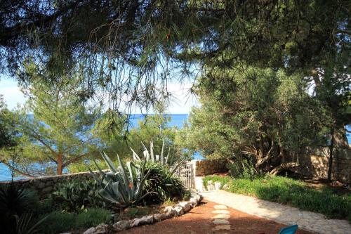 Seaside house for families with children Ivan Dolac Hvar - 140 - image 6