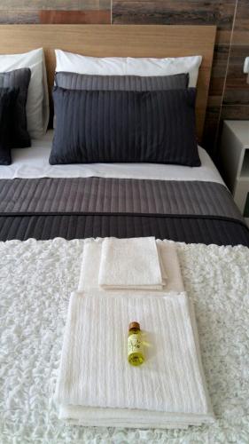 Pisa City Lodge - image 13