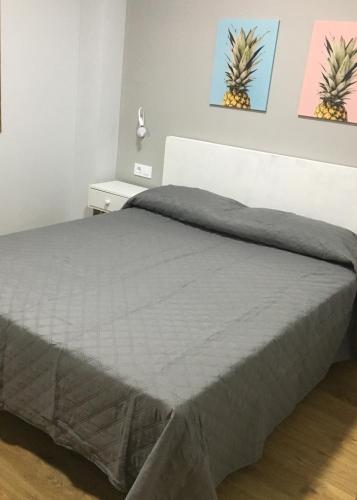 Apartamentos Maladeta