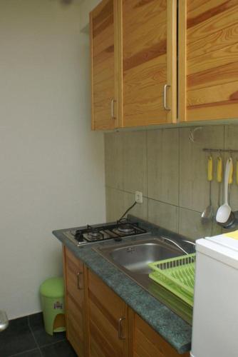Apartment Zubovici 4125a
