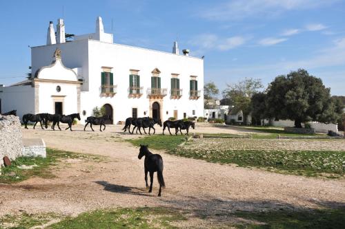  Masseria Tagliente, Pension in Martina Franca bei Crispiano