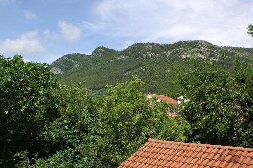 Apartments and rooms by the sea Zuljana Peljesac - 4576 - image 2