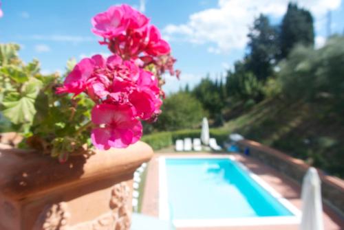 阿莫丽芙住宿加早餐旅馆