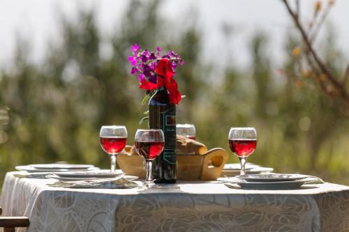 Varta Village – Zakynthos, SC