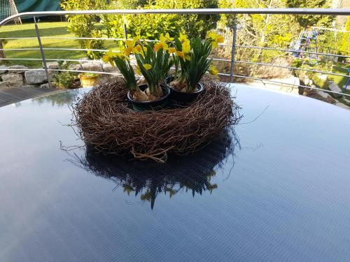 Sonniges Business-Apartment - zentral und ruhig - main image