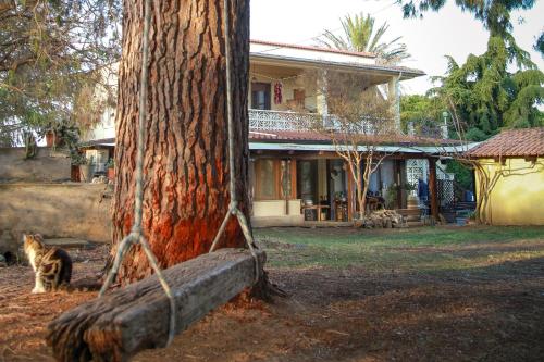 Aed, Azienda Agrituristica Il Pago in Rotondella