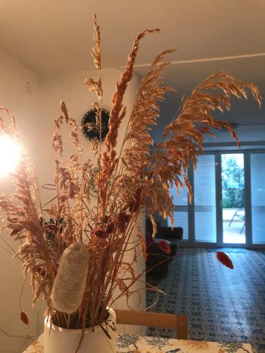 Vittoria's house