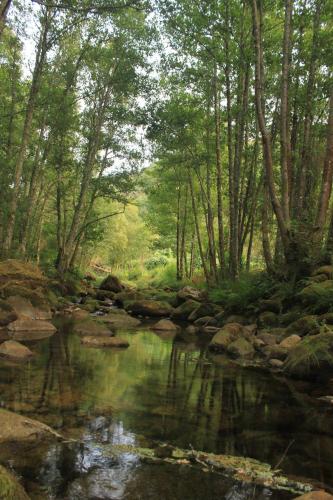 Douro Senses - Nature House