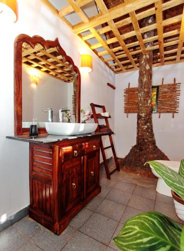 Cinnamon, Agonda (foto 9)