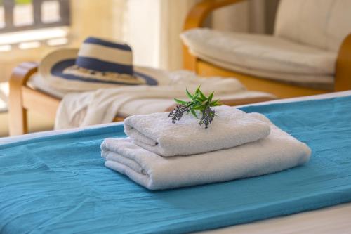 Meneou Beachfront Villa