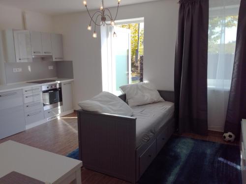 Comfortable house for relax and sports in Jindrichuv Hradec