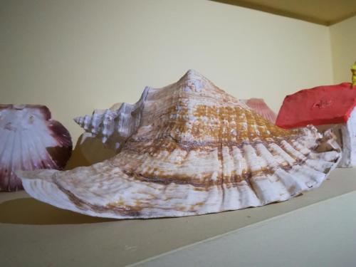  Varandas do Mar in Fão