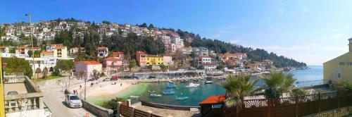 Lucy, Rabac (photo 2)