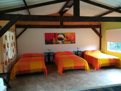 3 double beds
