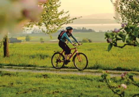 สภาพแวดล้อมโดยรอบ, Ferienwohnung Elsa in โฮเชท