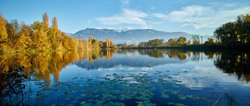 สภาพแวดล้อมโดยรอบ, Ferienwohnung Elsa in โฮเชท