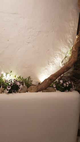 Lefteris - image 7