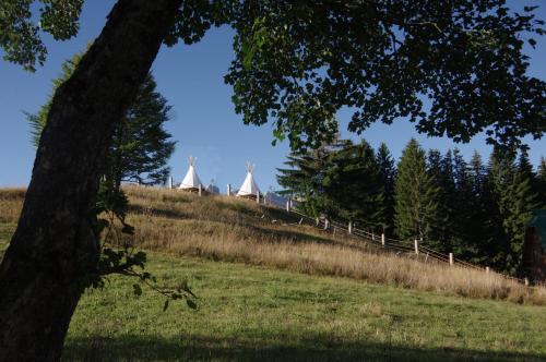 Guesthouse Planinarski dom Neviđen'o - image 14
