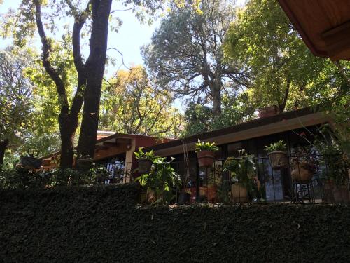 Bungalow Zona Bosque - image 7