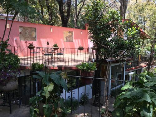 Bungalow Zona Bosque in Cuernavaca, Mexico